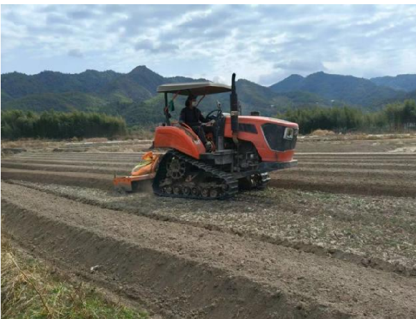 春の種まきは希望をもたらし、大地は活力を取り戻す
